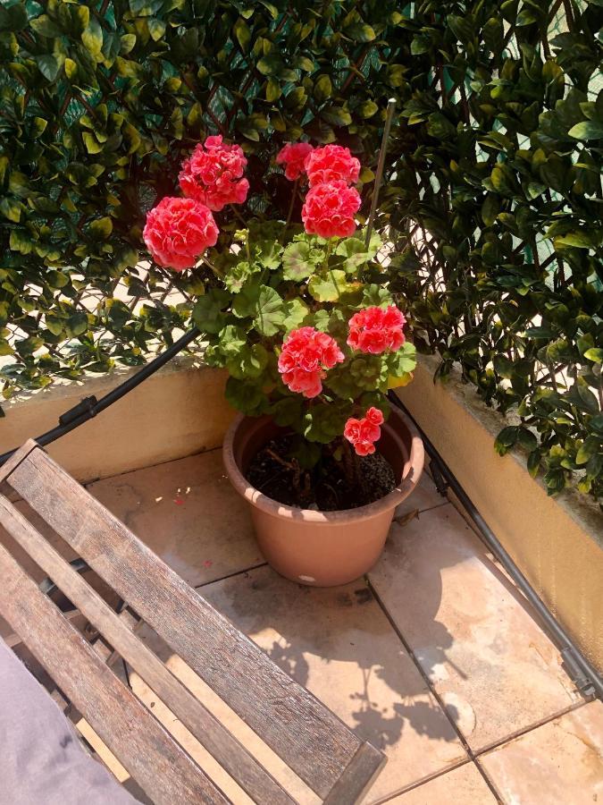 Mon Appart Avec Terrasse Et Piscine Рокебрюн — Кап-Мартен Экстерьер фото